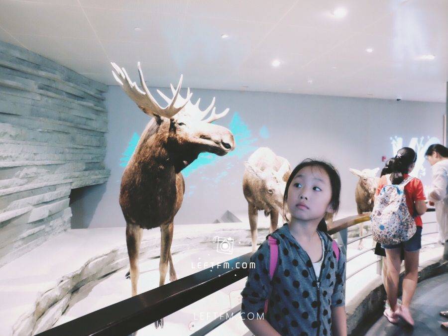 牵手去看：上海自然博物馆